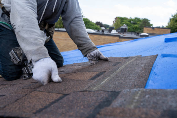 Best Storm Damage Roof Repair  in Haverhill, FL