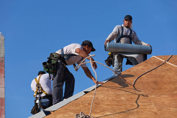 Roof Gutter Cleaning in Haverhill, FL
