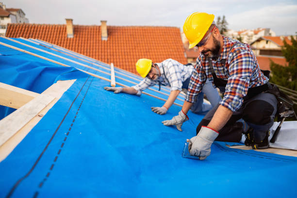Roof Gutter Cleaning in Haverhill, FL